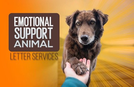 Best Emotional Support Animal Letter Services in 2022