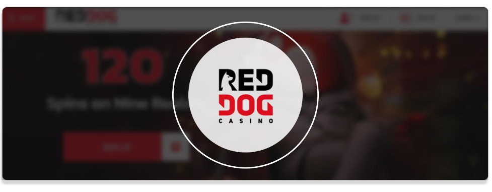 Red Dog Real Money Casino Review